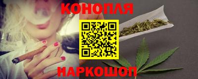 сатива Будённовск